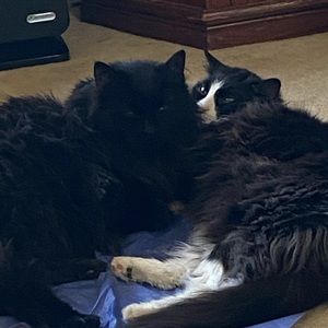 Meet your Posher, Pam